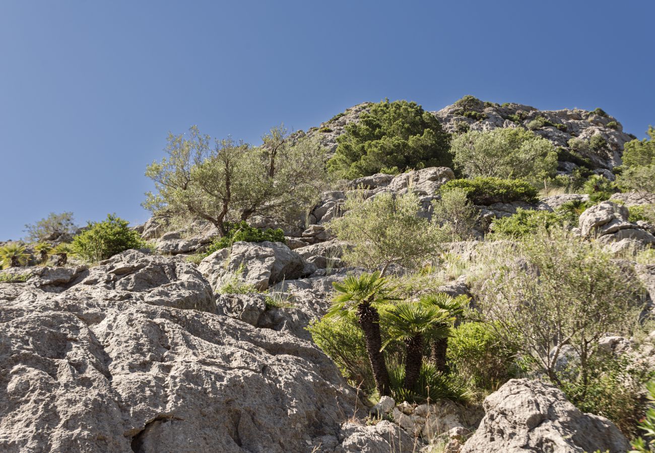 Chalet en Pollensa /  Pollença - Belle 'Font 4'