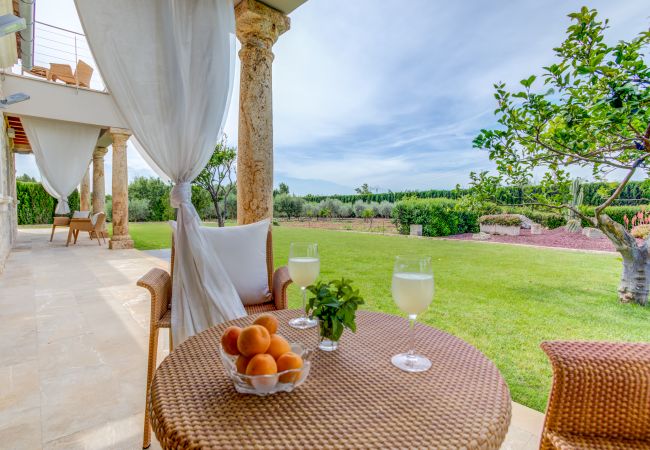 Finca in Selva - MY19 Ses Rentadores | ETV/696 Finca in Selva - MY19 Ses Rentadores | ETV/696