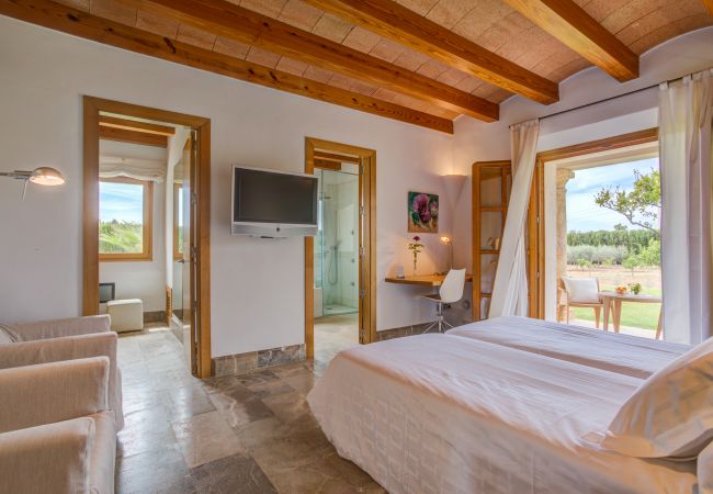 Finca in Selva - MY19 Ses Rentadores | ETV/696 Finca in Selva - MY19 Ses Rentadores | ETV/696