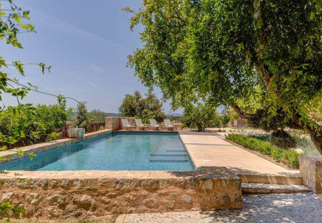 Ferienhaus in Consell - MY05 Cas Padrins | Consell Ferienhaus in Consell - MY05 Cas Padrins | Consell