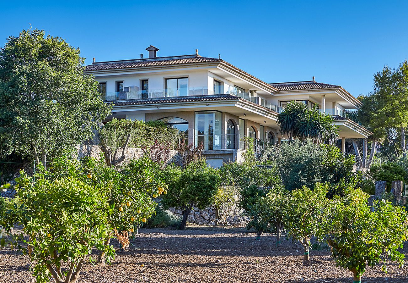 Finca in Alcudia - MY23 Bay View