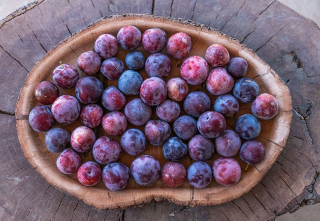 Chalet in Sencelles - Molí 'Can Estela' Chalet in Sencelles - Molí 'Can Estela'