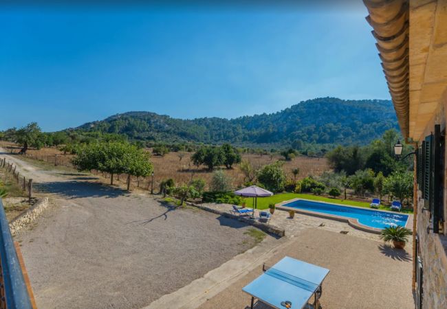 Finca en Pollensa - MY18 L'Olivar Finca en Pollensa - MY18 L'Olivar