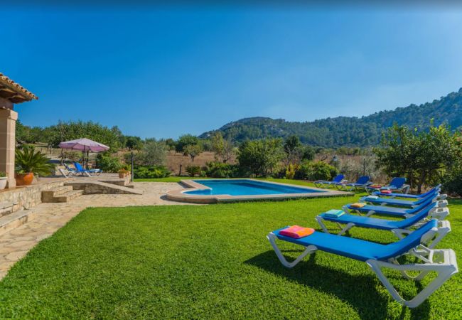 Finca en Pollensa - MY18 L'Olivar Finca en Pollensa - MY18 L'Olivar