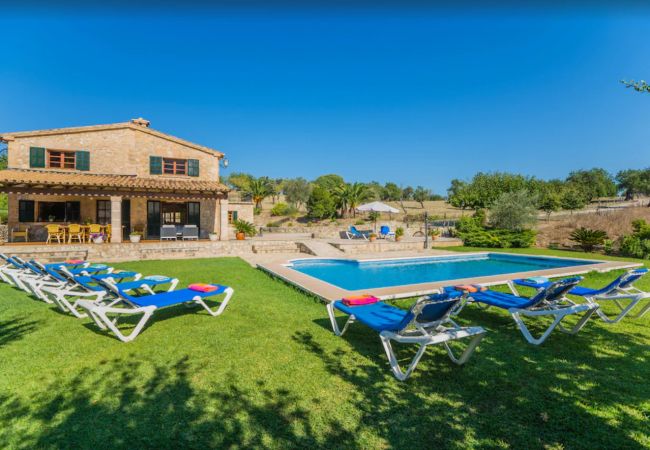 Finca en Pollensa - MY18 L'Olivar Finca en Pollensa - MY18 L'Olivar