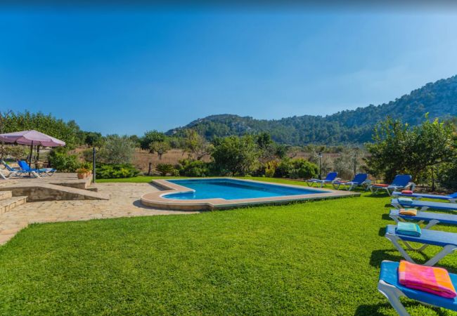 Finca en Pollensa - MY18 L'Olivar Finca en Pollensa - MY18 L'Olivar