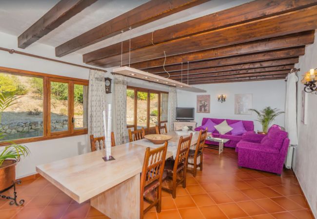 Finca en Pollensa - MY18 L'Olivar Finca en Pollensa - MY18 L'Olivar