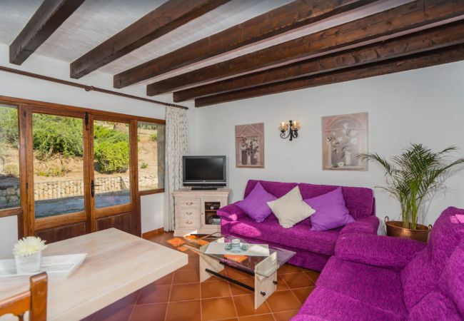 Finca en Pollensa - MY18 L'Olivar Finca en Pollensa - MY18 L'Olivar