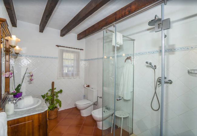 Finca en Pollensa - MY18 L'Olivar Finca en Pollensa - MY18 L'Olivar