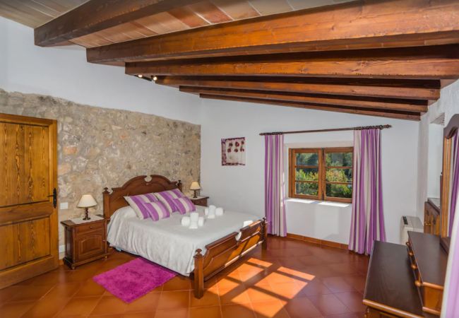 Finca en Pollensa - MY18 L'Olivar Finca en Pollensa - MY18 L'Olivar