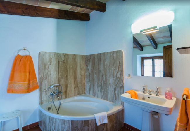 Finca en Pollensa - MY18 L'Olivar Finca en Pollensa - MY18 L'Olivar