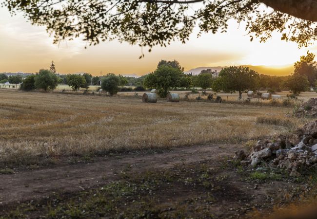 Country house in Sencelles - MY12 L'Hort Verd