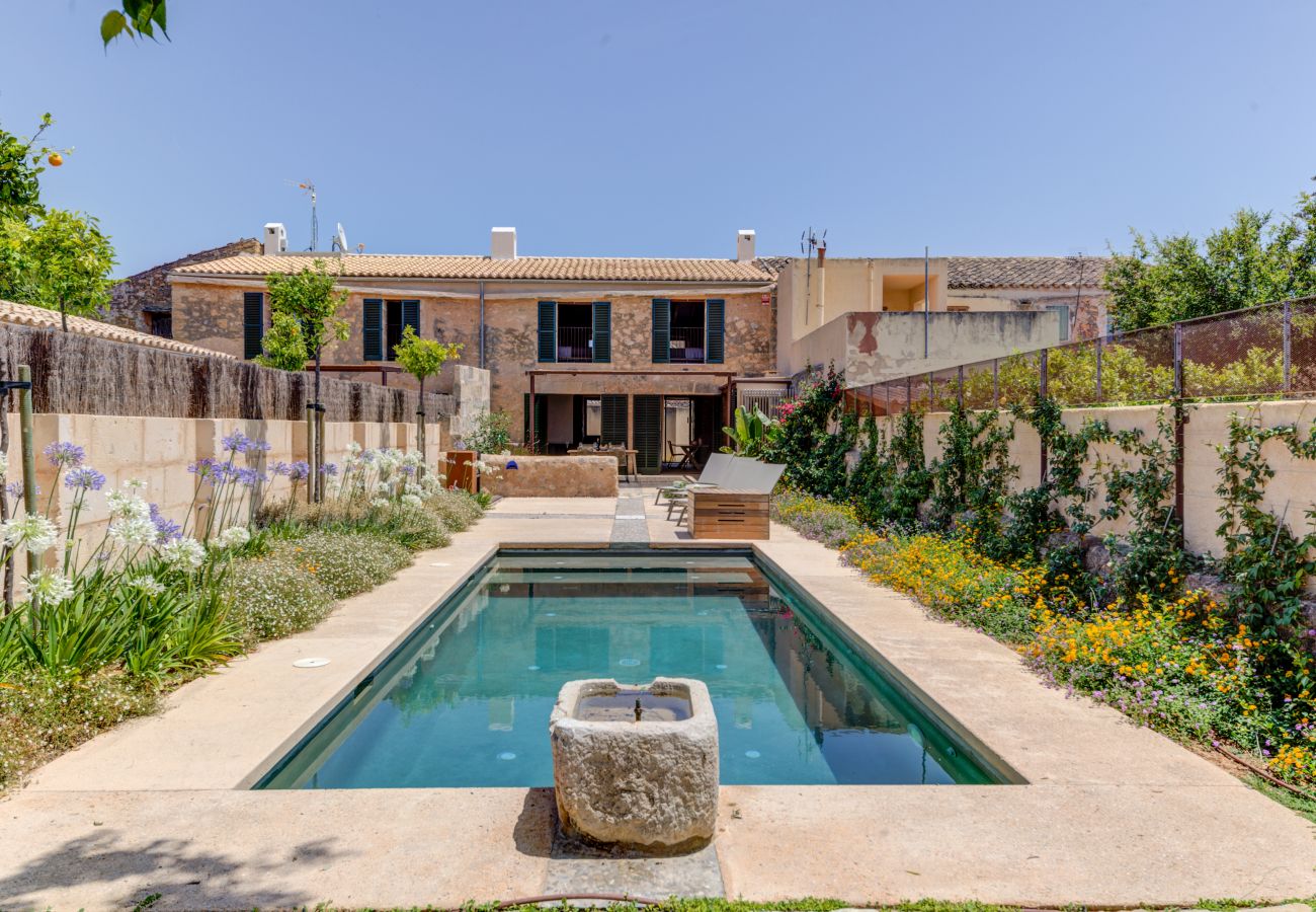 House in Consell - MY04 Can Cunso 20 | Consell