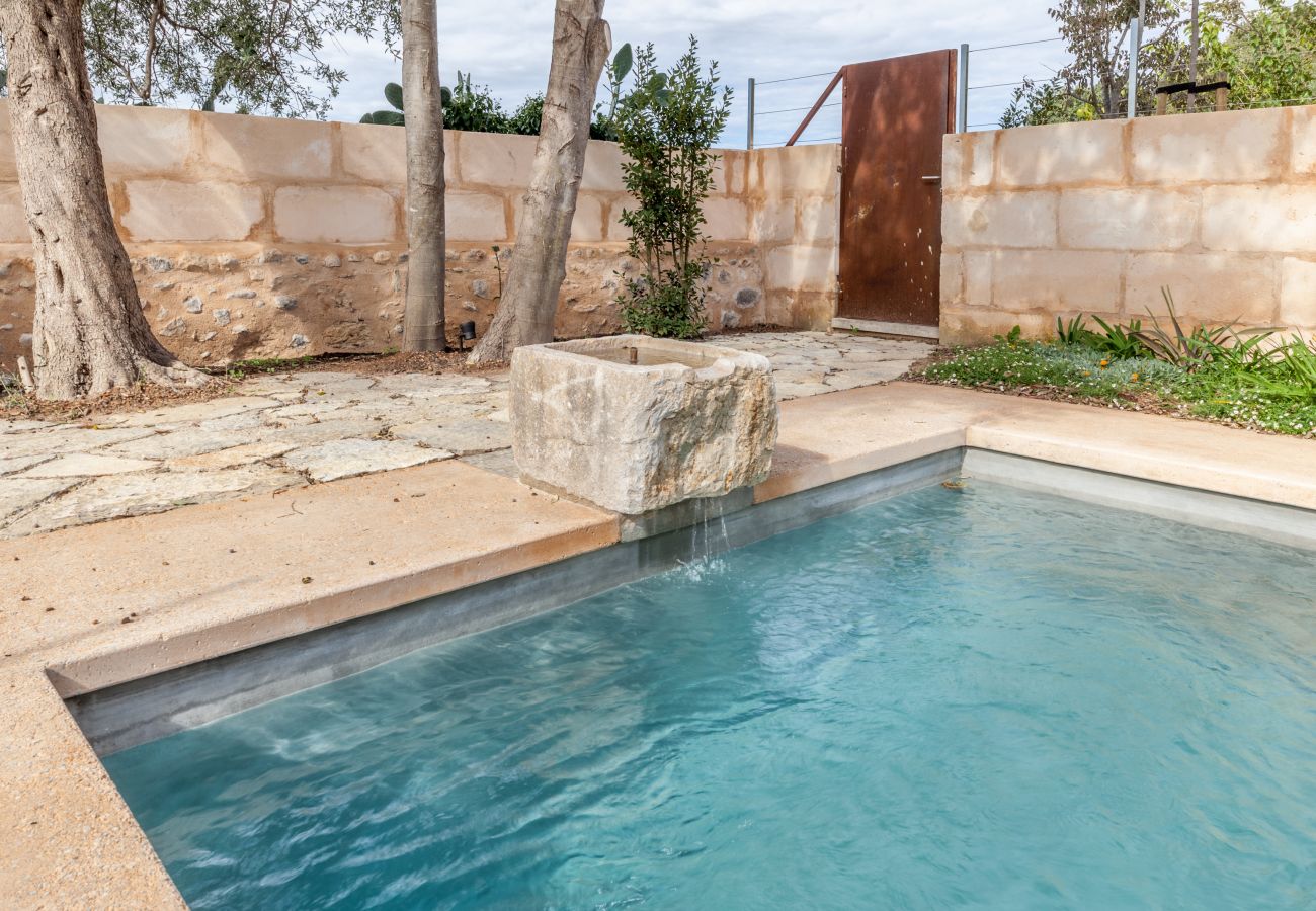 House in Consell - MY03 Can Cunso 18 | Consell