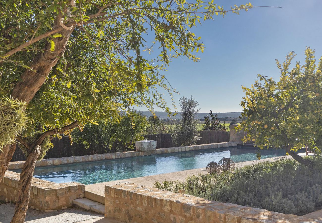 House in Consell - MY05 Cas Padrins | Consell