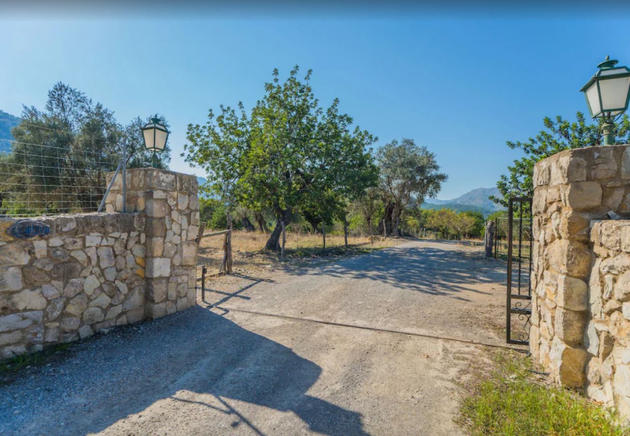 Country house in Pollensa - MY18 L'Olivar